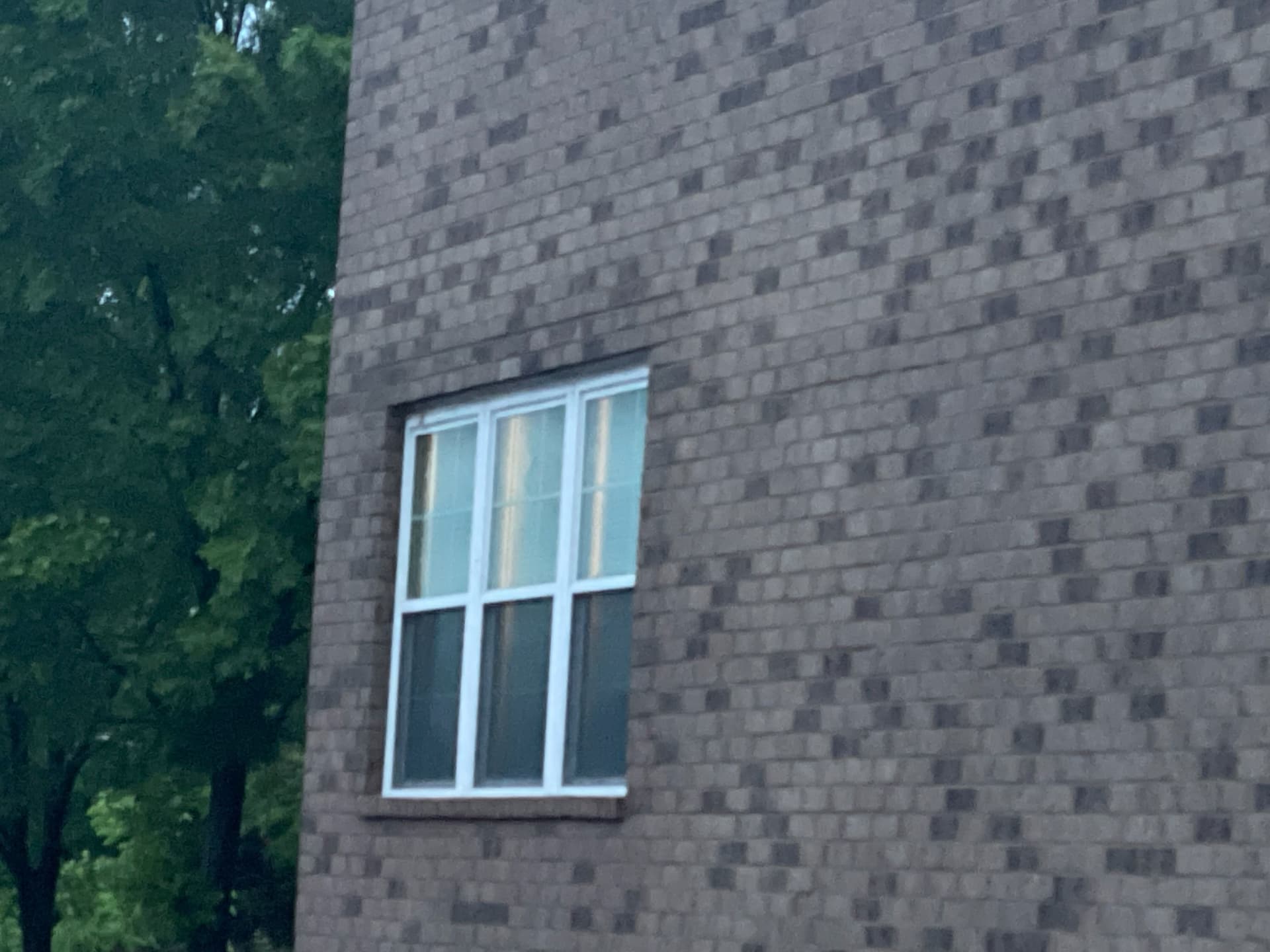 New Window Installation Brightens Interior image