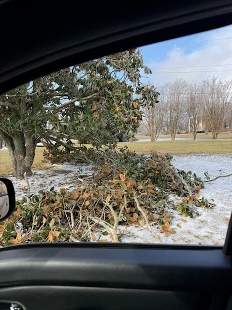 Project Efficient Winter Storm Cleanup in Madison image