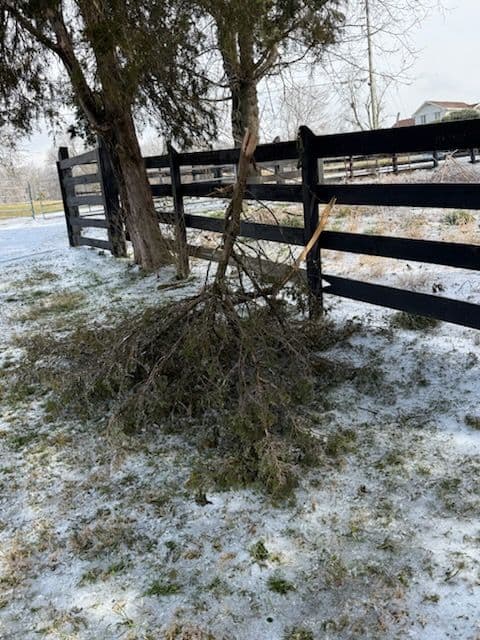 Gallery photos for Efficient Winter Storm Cleanup in Madison: Image #1
