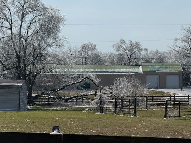 Gallery photos for Efficient Winter Storm Cleanup in Madison: Image #3