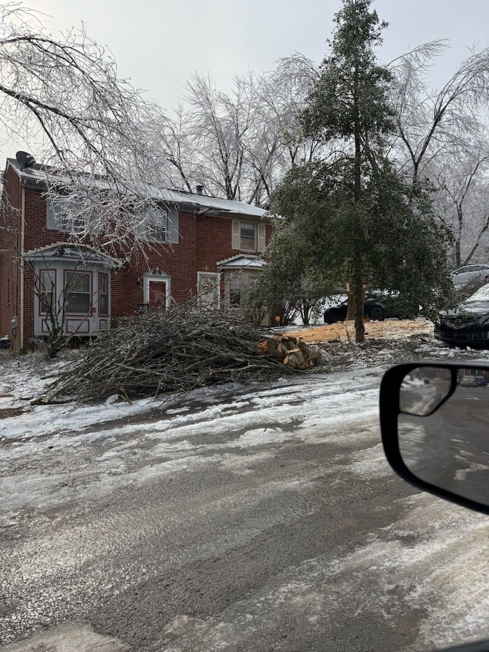 Project Efficient Winter Storm Debris Cleanup in Nashville image